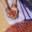 Zrnková káva Bio & Fair ETHIOPIA SIDAMO 250 g